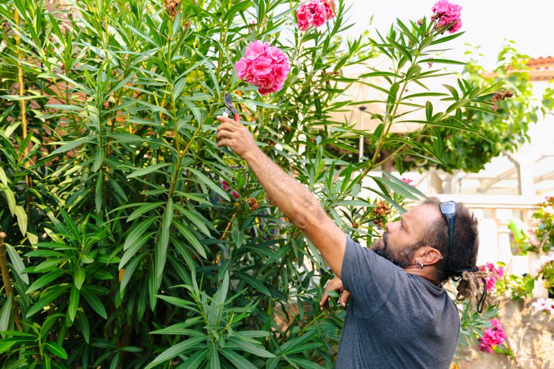Bush Pruning