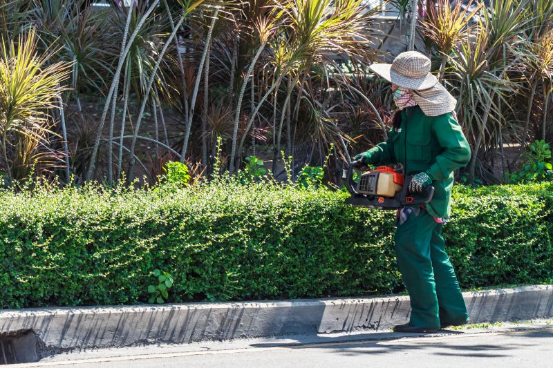 Commercial Shrub Trimming