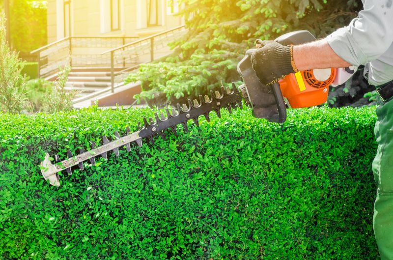 Hedge Pruning