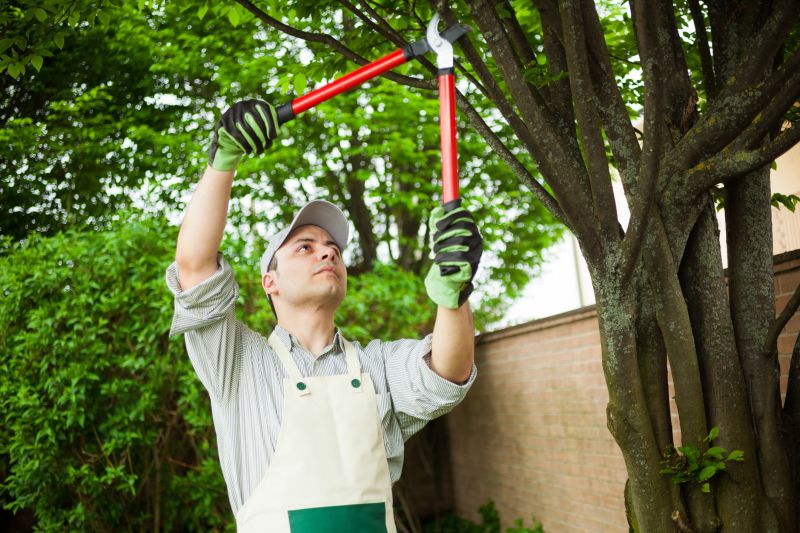 Hedge Pruning