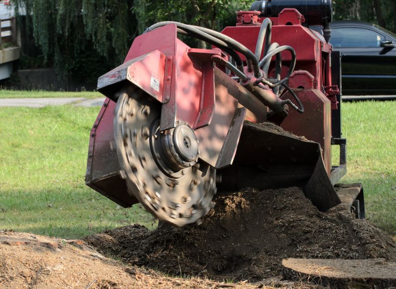 Stump Grinding and Removal